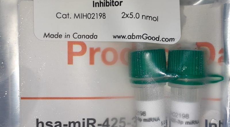 ABM HSA Mirna inhibitor